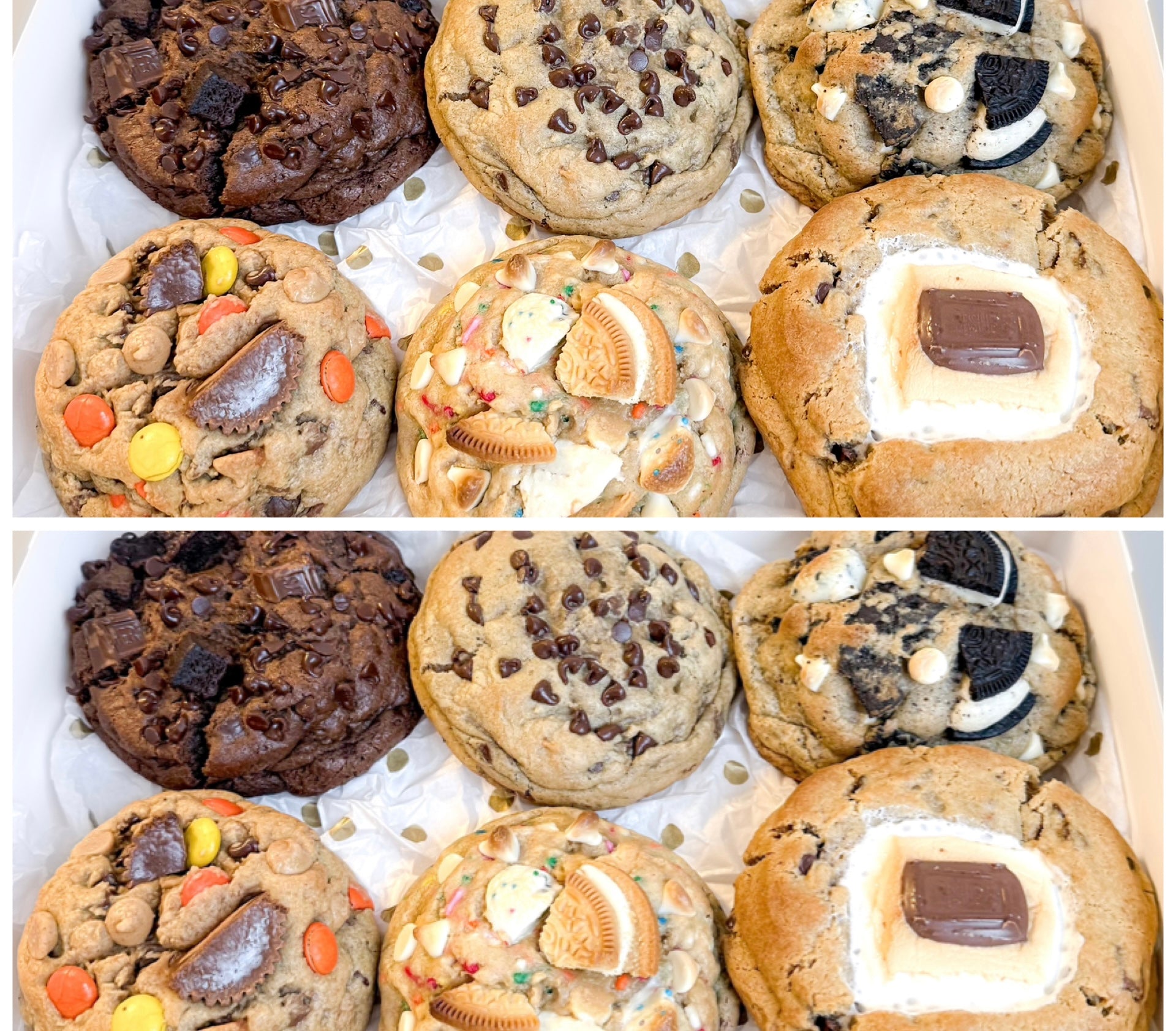 The Mega Munga (12-Pack)